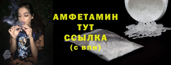 прущие грибы Богородск