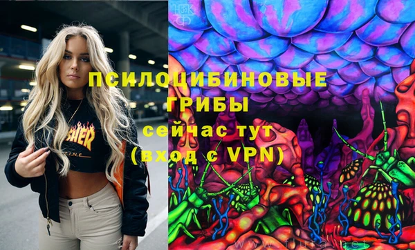 дурь Белоозёрский