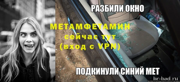 прущие грибы Богородск