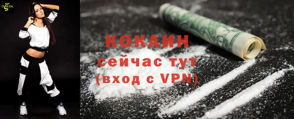 прущие грибы Богородск