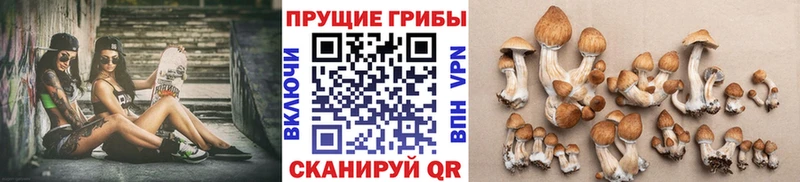 Галлюциногенные грибы мицелий  где найти   Олёкминск 